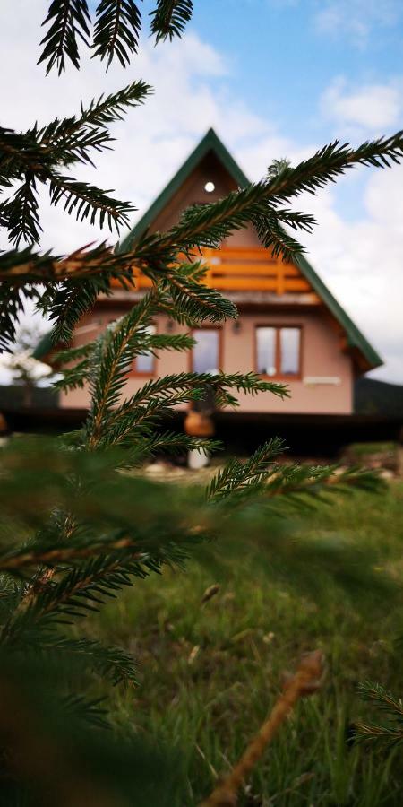 Žabljak Planinska Kucaヴィラ エクステリア 写真